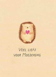 Moederdag Veel LiefsE gel