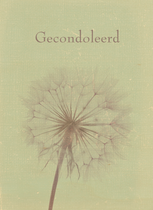 Houten Kaart Condoleance Kaarten | Houten Kaart Hallmark | Condoleance Kaarten | Gecondoleerd Paardenbloem