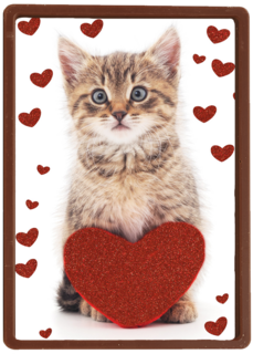 valentijnskaart klassiek poes met hart