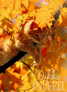 herfst kaart dikke herfst knuffel