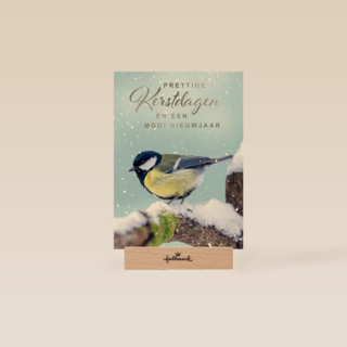 Kerstkaart vogel op tak winter