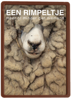 een rimpeltje meer of minder ziet niemand
