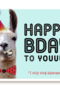 happy bady party alpaca