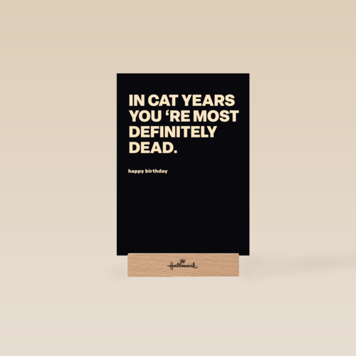 In cat years youre most definitely dead