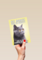 Geslaagd kaart Kat grappig