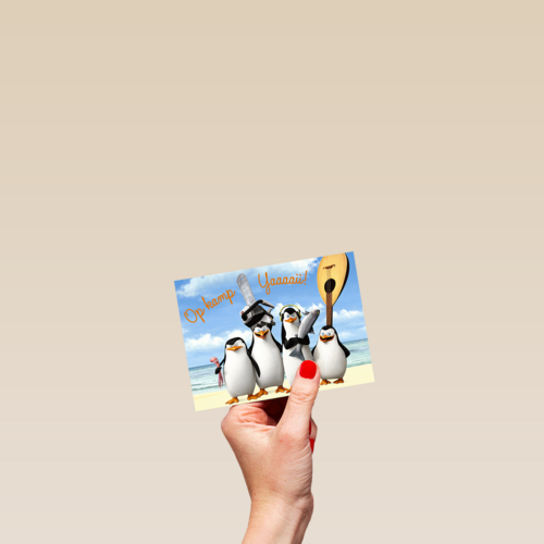 Op kamp yaai Penguins