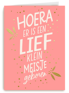 hoera er is een lief klein meisje geboren