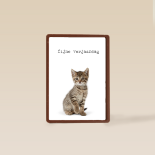 Verjaardagskaart Furry cuddles poes