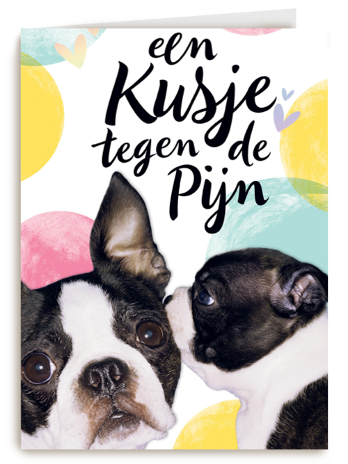 Beterschapskaart Hond Een kusje tegen de pijn
