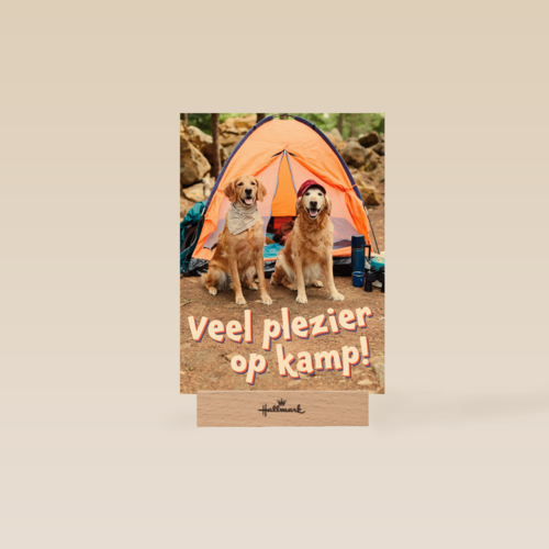 Op kamp kaart 2 honden bij tent