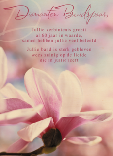 verbintenis na zestig jaar