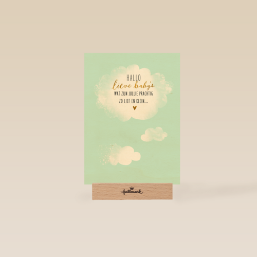 babykaart meerling hallo lieve babys groene achtergrond