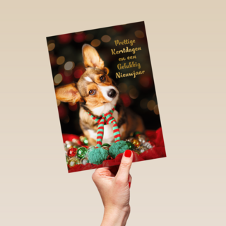 Kerstmis Hond Met Sjaal