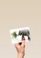 Chromazone Olifant boeket