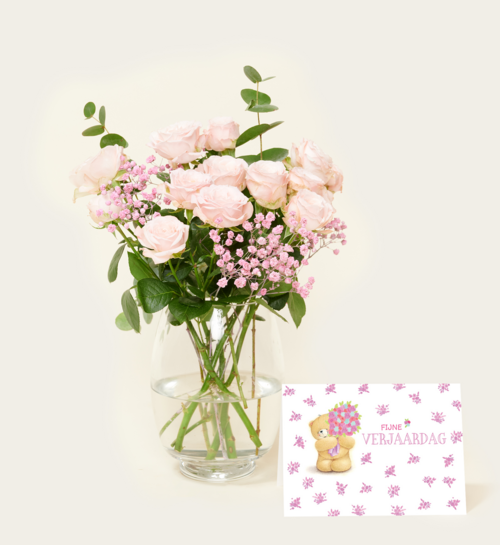 Brievenbusbloemen Ombre Rosa