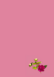 krijtbord omringd met bloemen