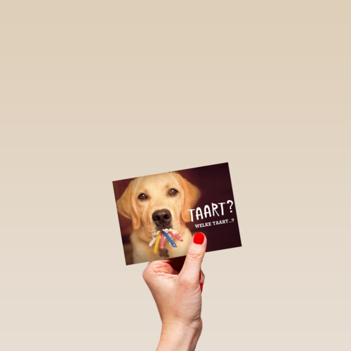 animal fiesta taart welke taart