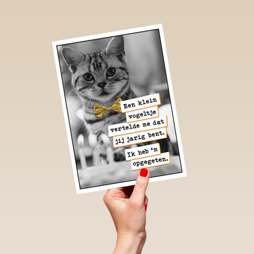Vogel Poes  verjaardag