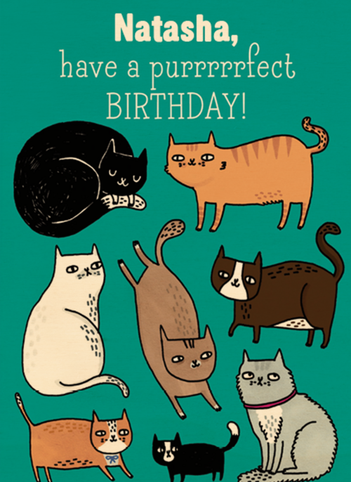 verjaardag vrouw grappig have a purrrrfect birthday