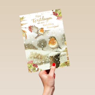 Marjolein Bastin Kerstdagen Vogels