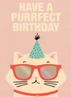 Verjaardagskaart tiener meisje Have a purrfect birthday