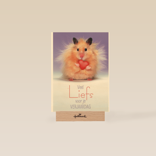 muis met hartje