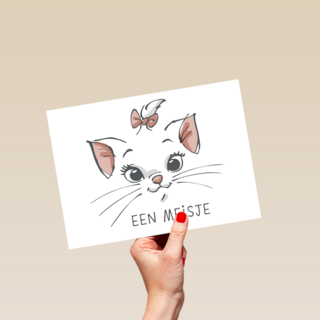 geboorte felicitatie Disney meisje