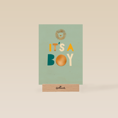 Leeuw it is a boy