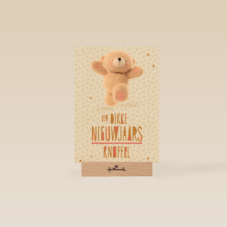 nieuwjaar classics een dikke nieuwjaarsknuffel forever friends