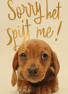 verjaardag te laat sorry het spijt me puppy