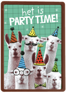 het is partytime met deze lamas