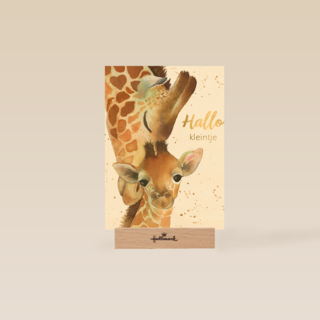 geboorte hallo kleintje giraffe