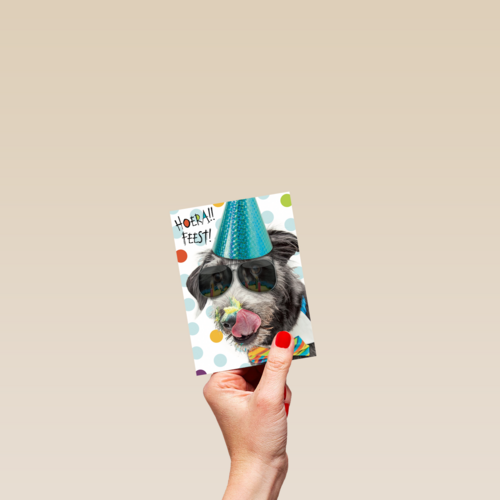 hoera feest hond met zonnebril