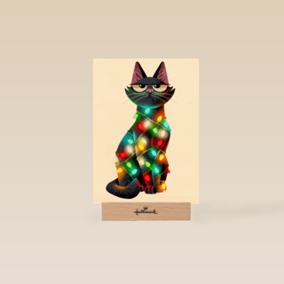 kerstkaart grappig kat met kerstlichtjes folio