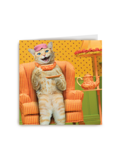 Chromazone Kat thee
