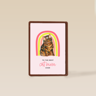 To the beste cat mom ever