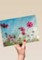 roze bloemen tegen een blauwe lucht
