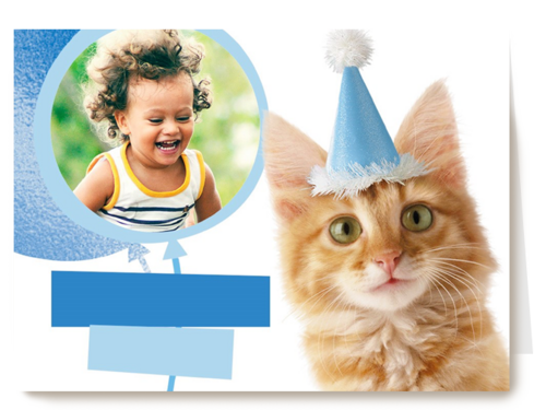 Verjaardagskaart Hallmark | Een Fotokaart Met Een Feestlijke Kat