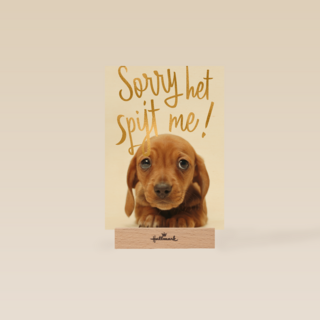 verjaardag te laat sorry het spijt me puppy