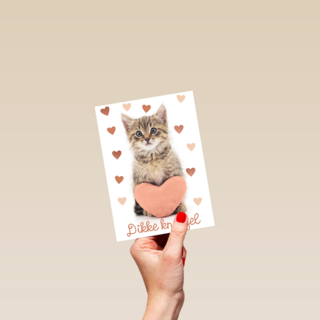 Liefde kaart kat met hart en dikke knuffel