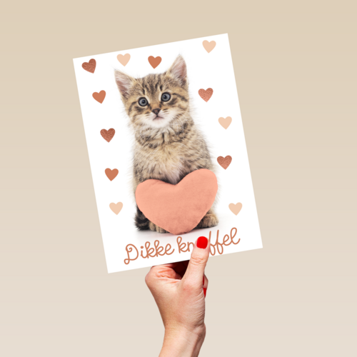 Liefde kaart kat met hart en dikke knuffel