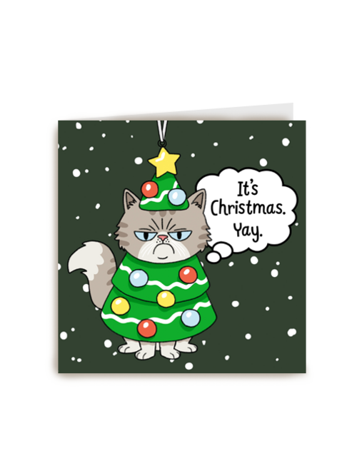 It's Christmas, Yay! Cat