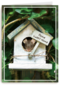 Verhuisd muis huisje