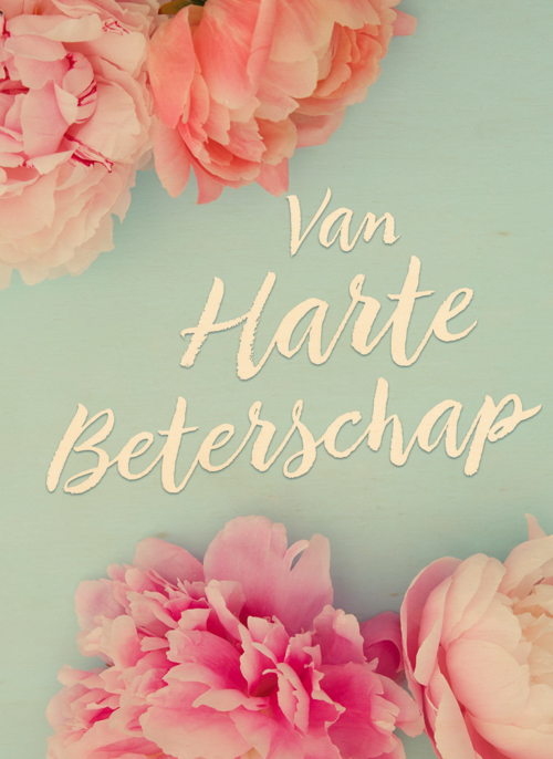 Houten Kaart Beterschapskaarten | Houten Kaart Hallmark | Beterschapskaarten | Beterschapskaart Foto Met Bloemen Van Harte Beterschap