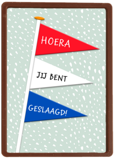 geslaagd kaart nederlandse vlaggetjes