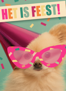 het is feest met hond met bril en hoed