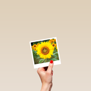 Beterschapskaart zonnebloem met smiley Polaroid
