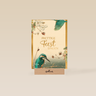 Kerstkaart marjolein bastin ijsvogel