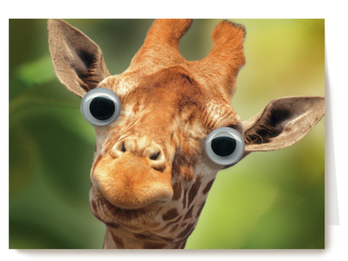 animal fiesta een giraffe met grote ogen