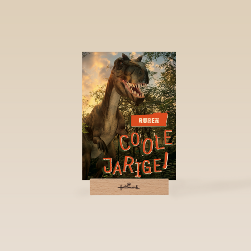 dino coole verjaardag